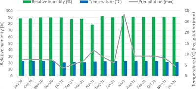 Risk analysis and cacao pod survivorship curves to improve yield forecasting methods